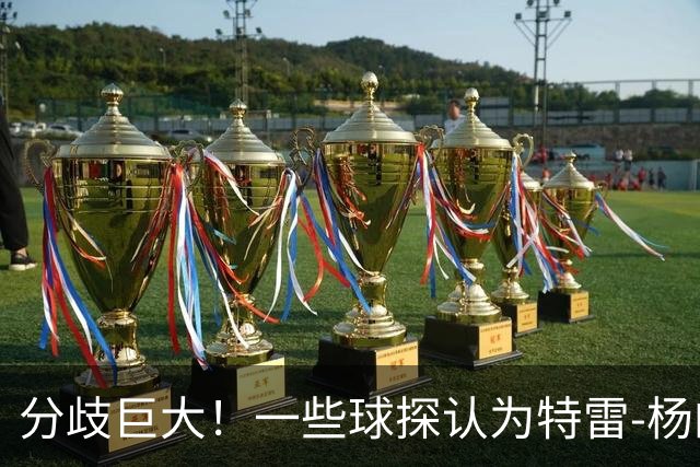 分歧巨大！一些球探认为特雷-杨的存在阻碍了状元郎在奇才的发展